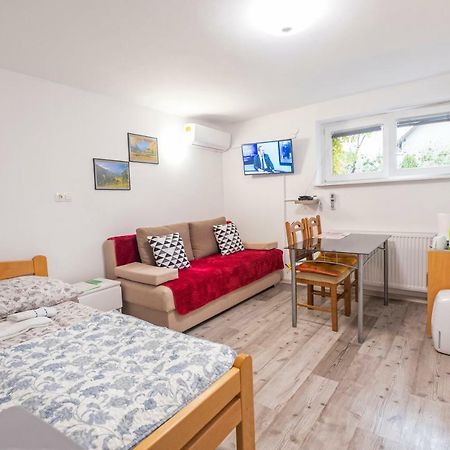 Newly Renovated Studio With Air Conditioner & Free Parking Lublaň Exteriér fotografie